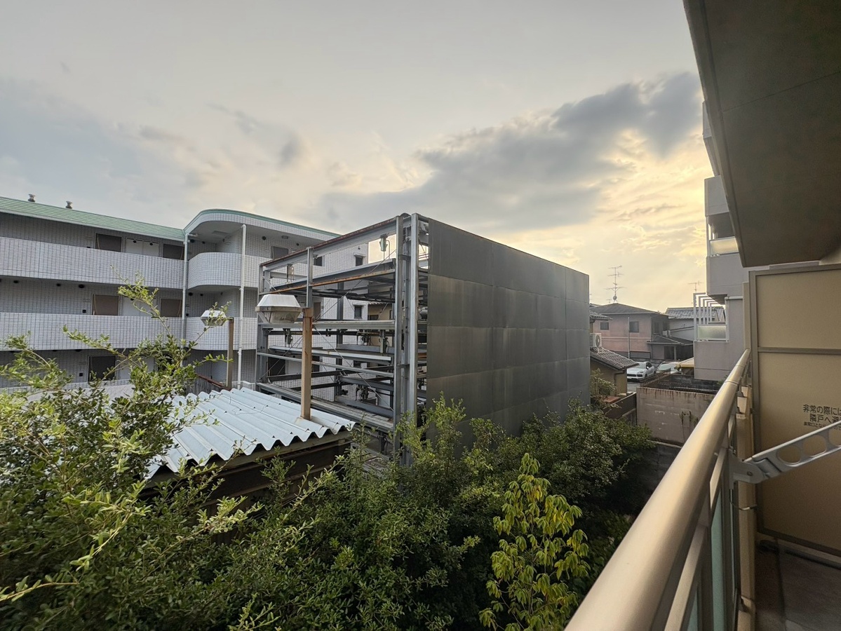 庭 写真16