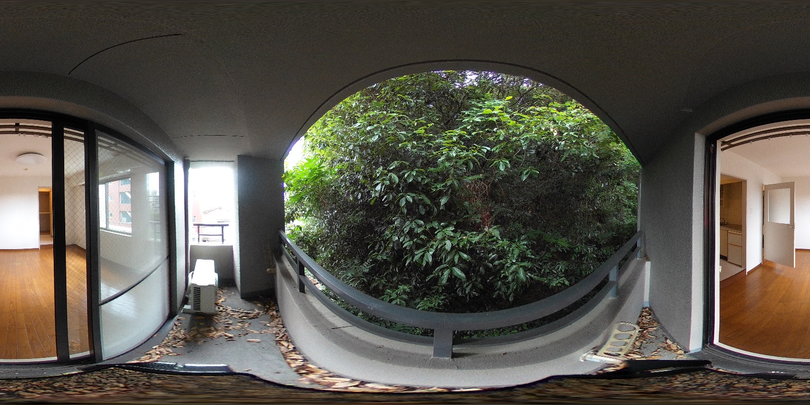 写真37