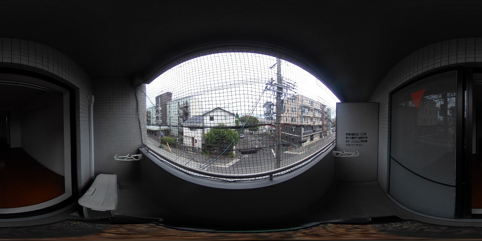 写真19