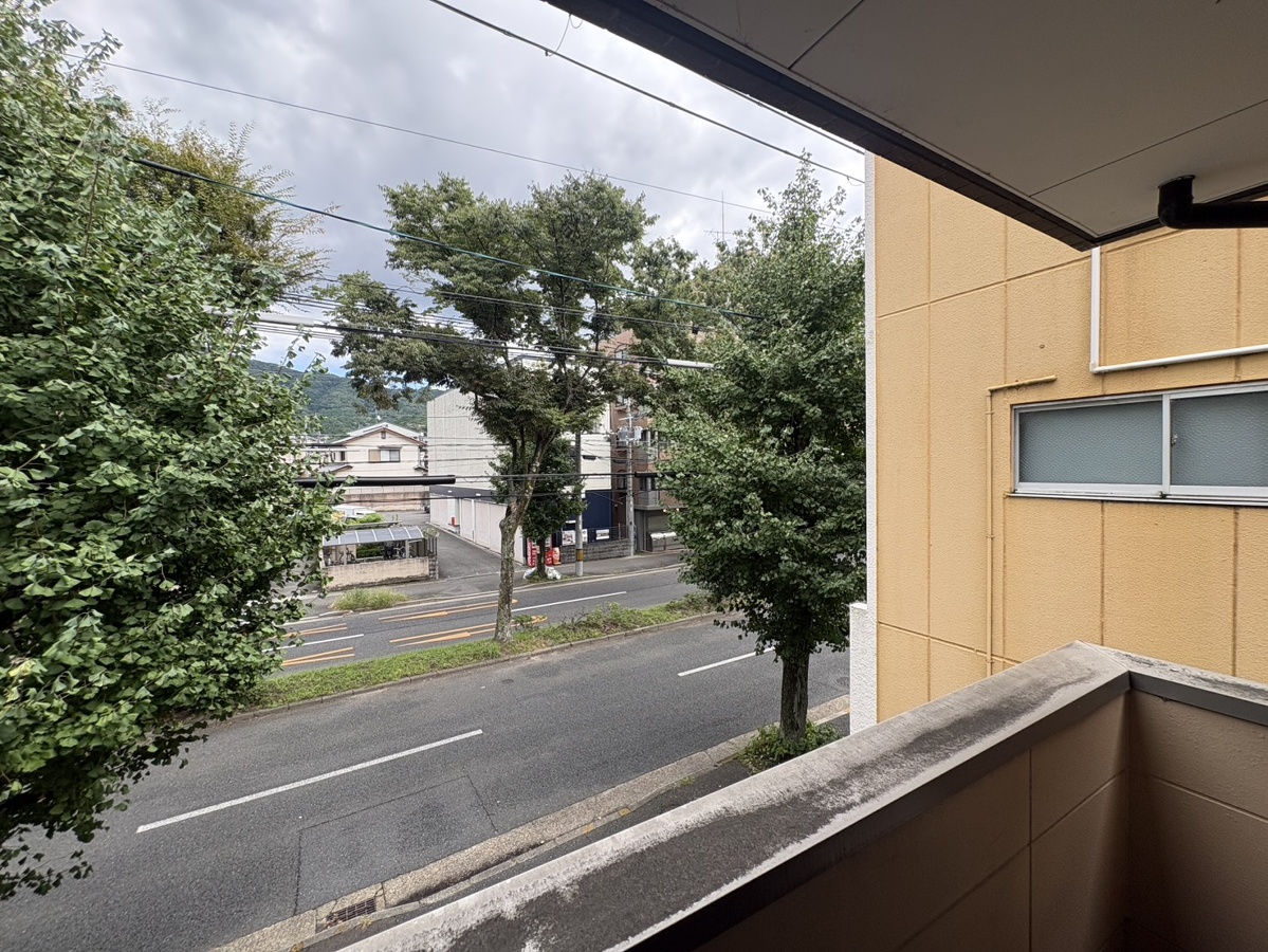 庭 写真18