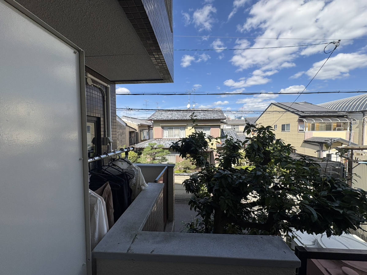 庭 写真17