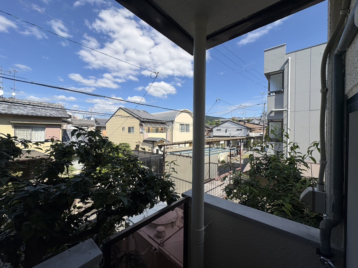 眺望 写真20