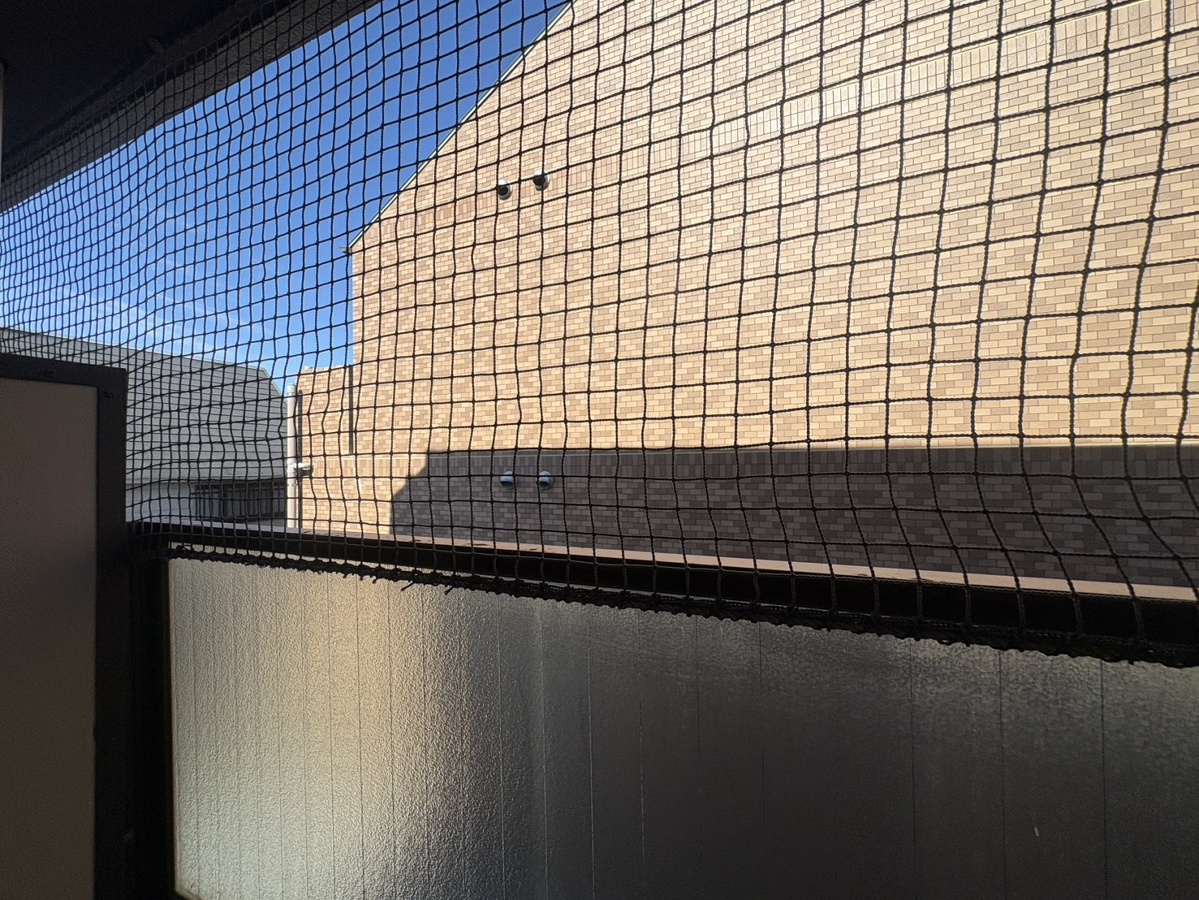 眺望 写真32