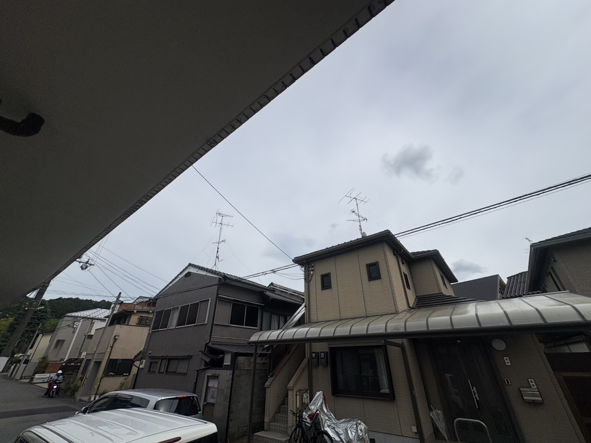 庭 写真19