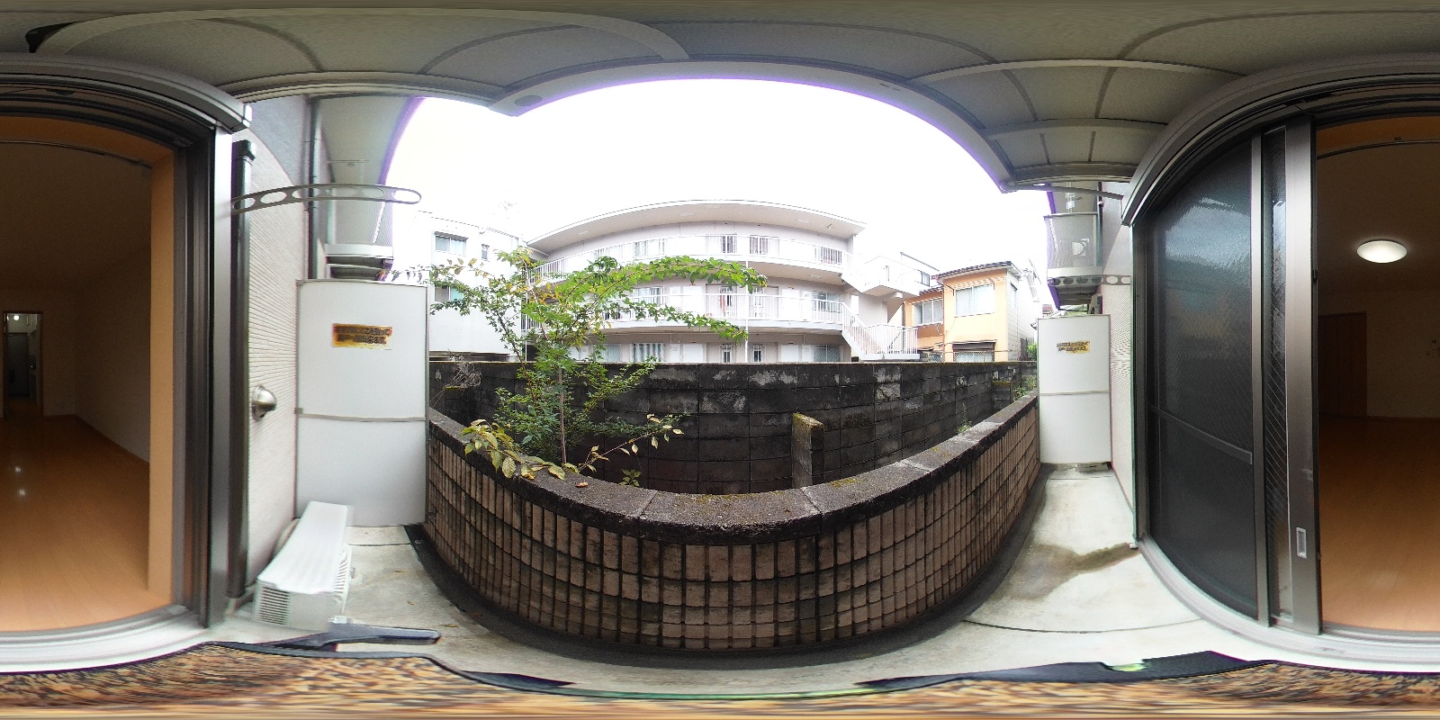 写真37