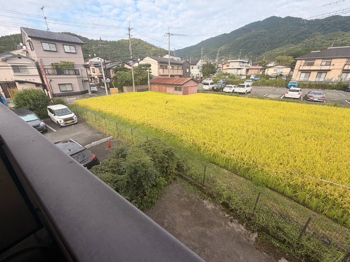 眺望 写真19