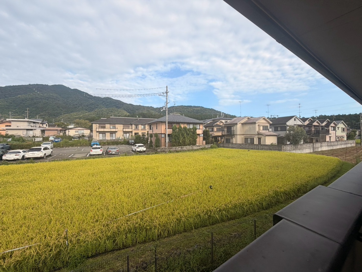 庭 写真16