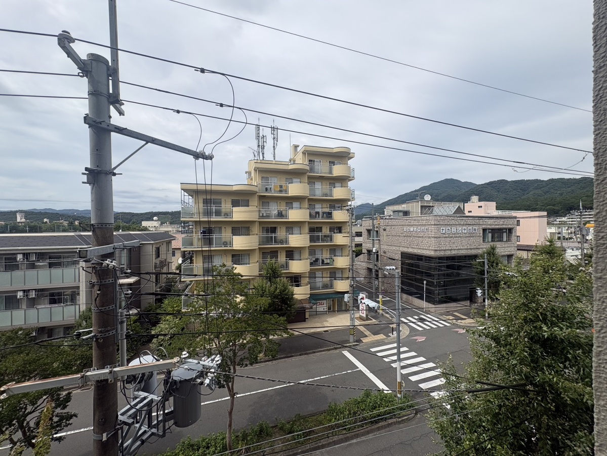 庭 写真17