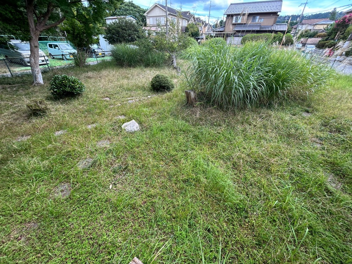 庭 写真19
