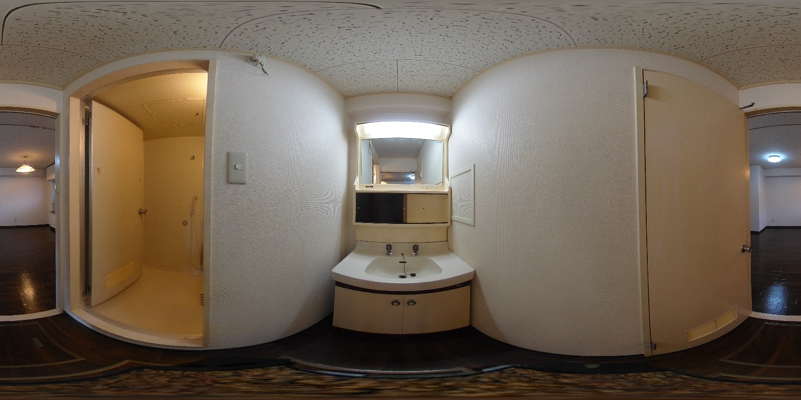 写真12