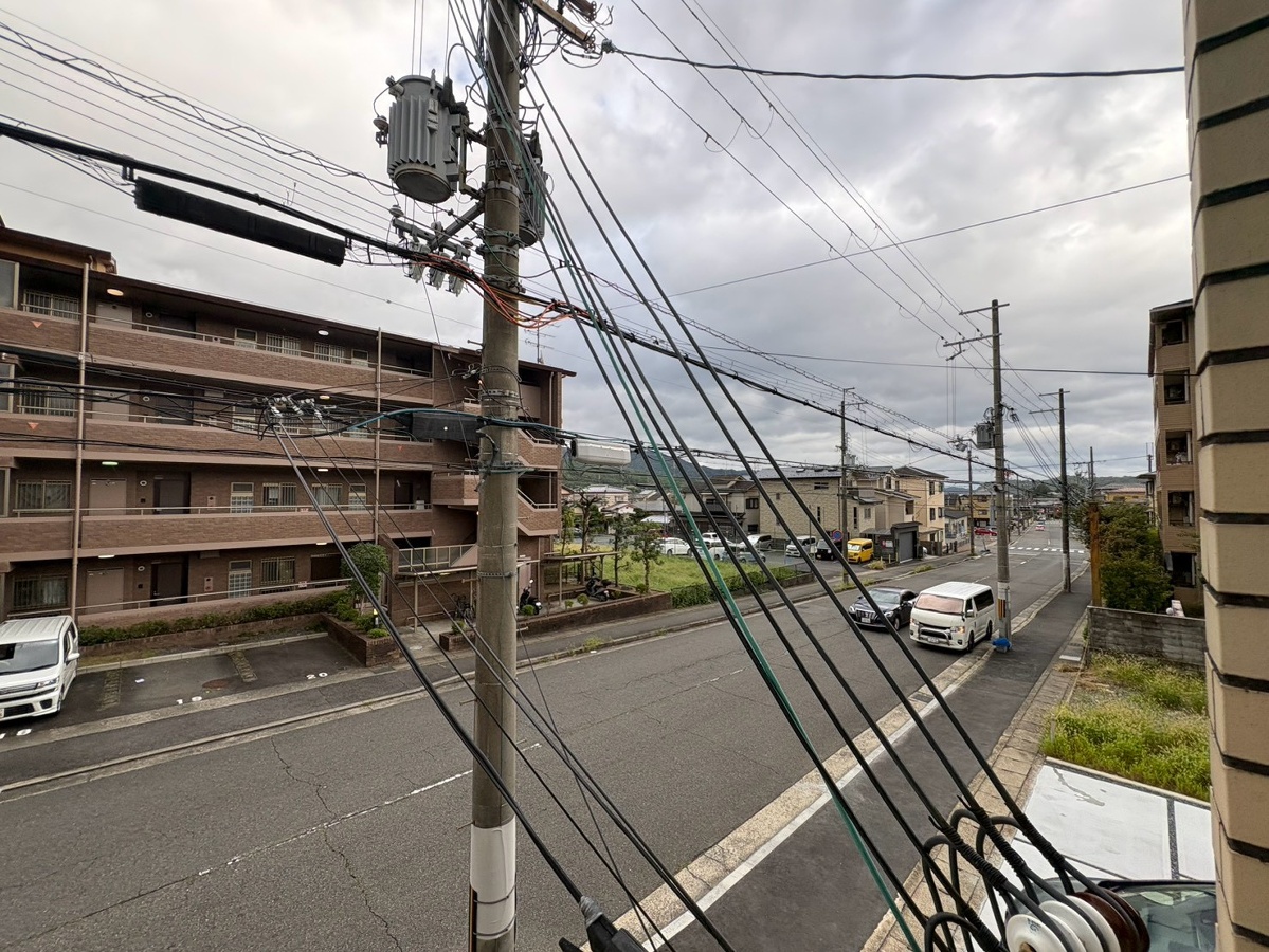 庭 写真17