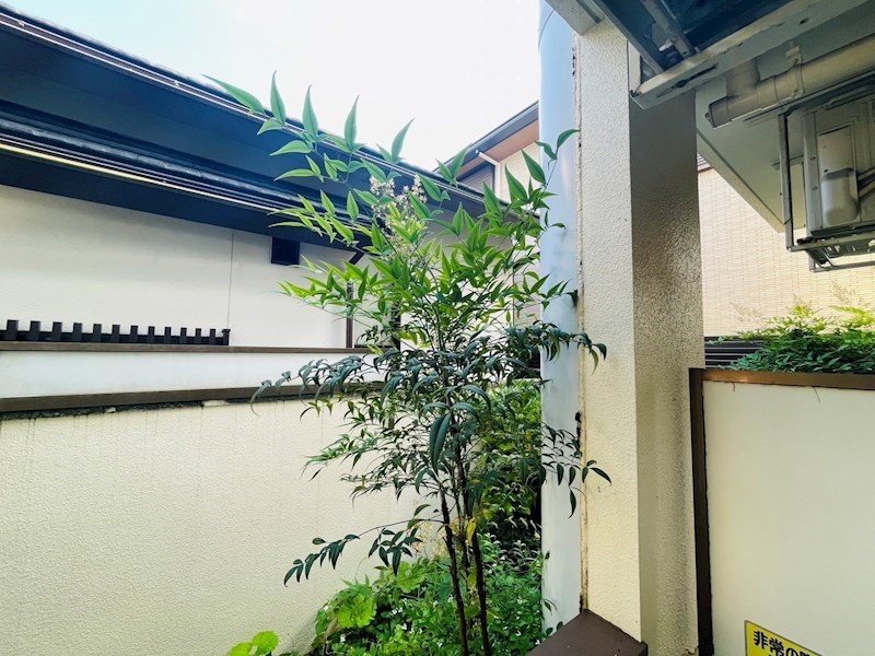 庭 写真15