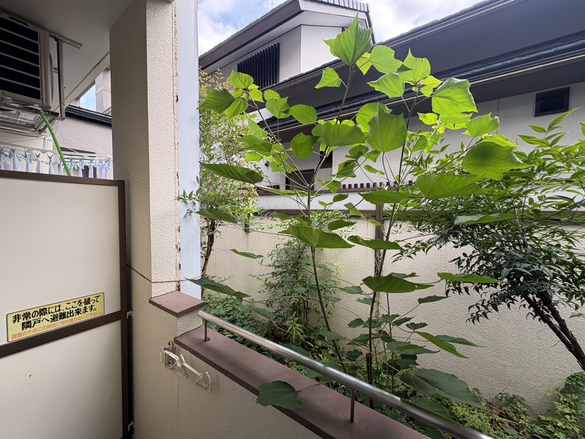 眺望 写真20