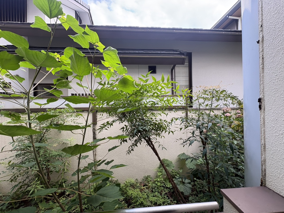 庭 写真17