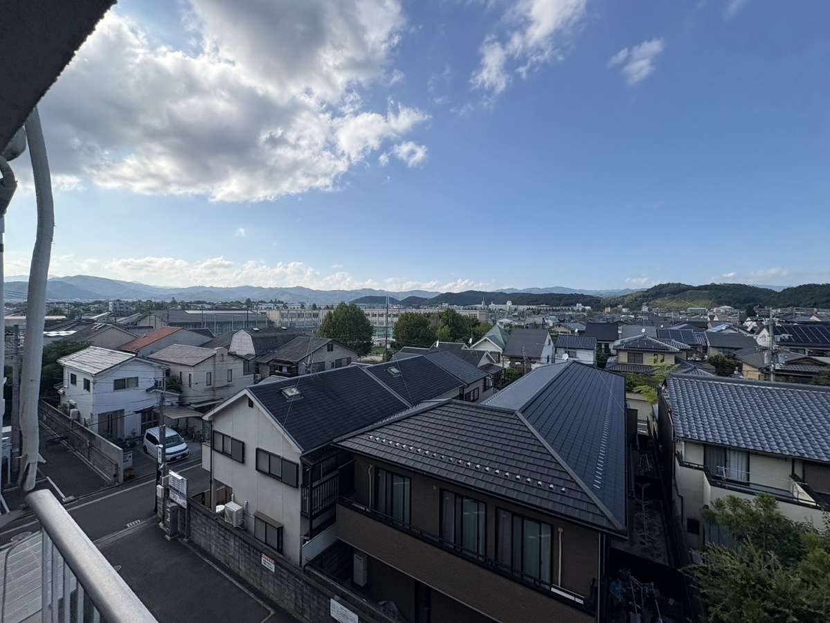 庭 写真19