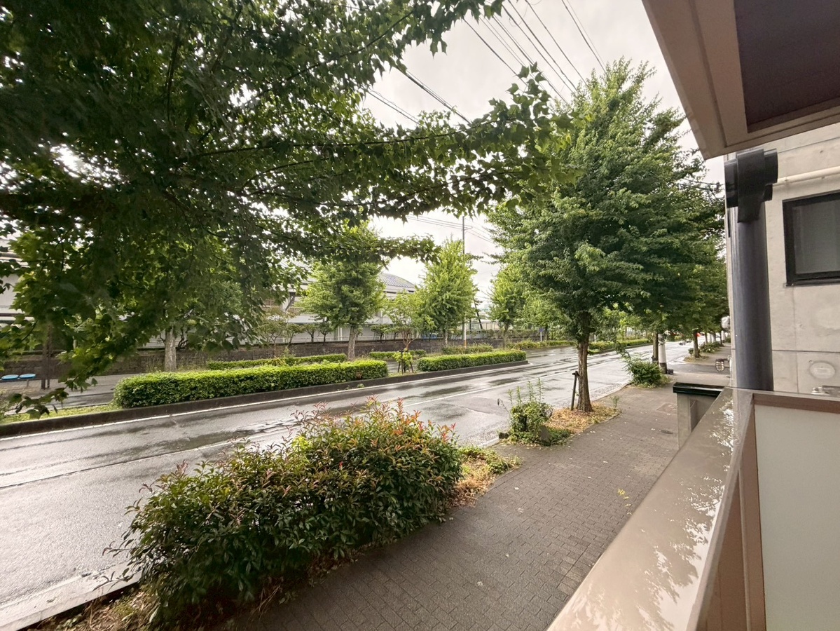 庭 写真29