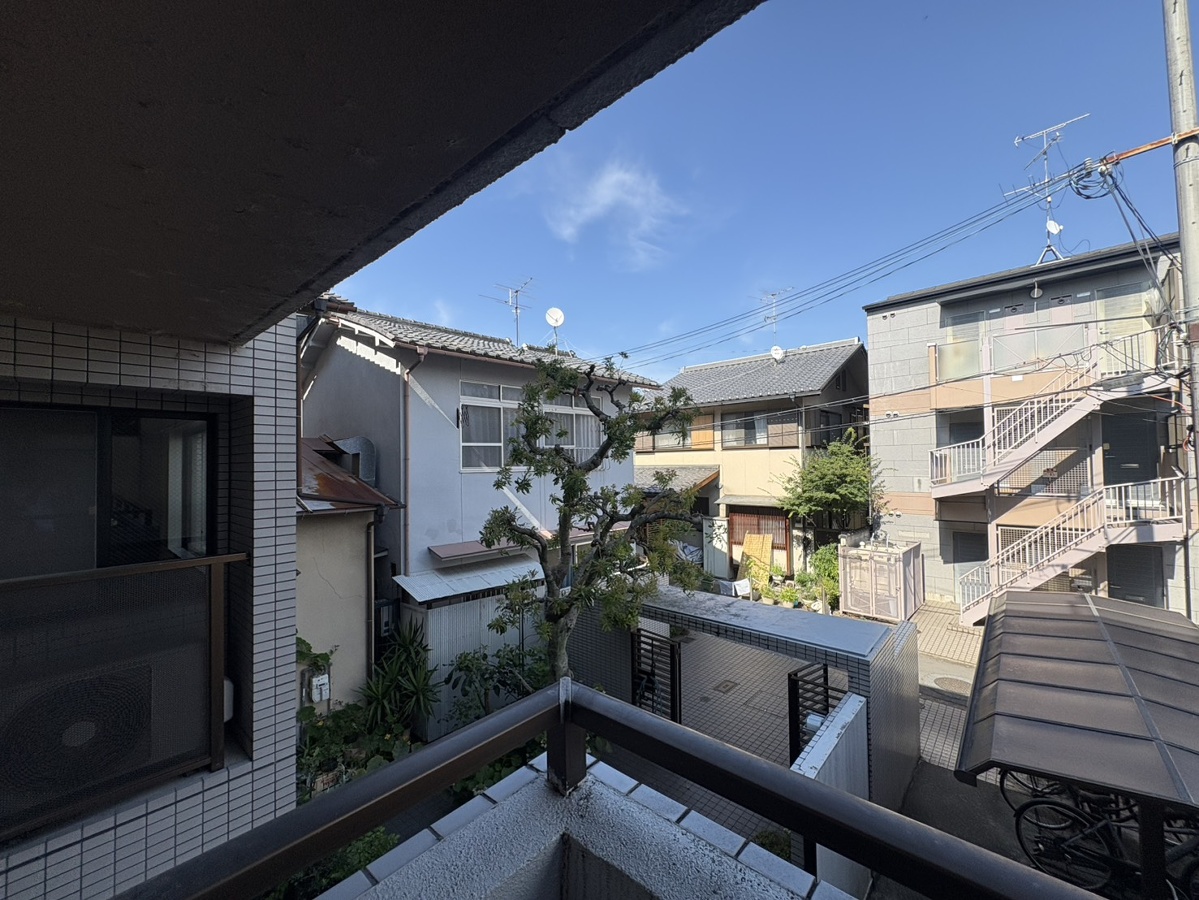 庭 写真17