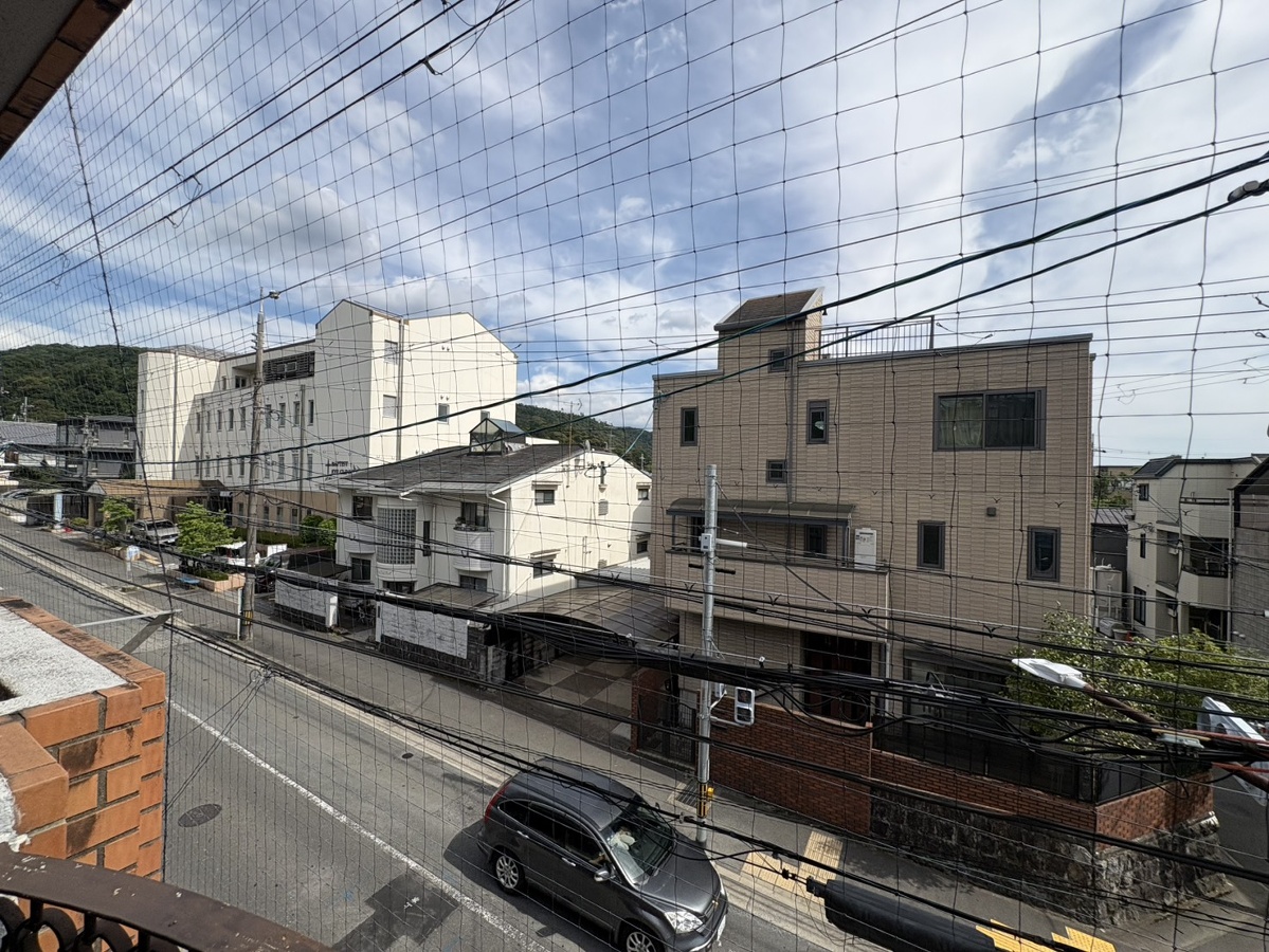 庭 写真18