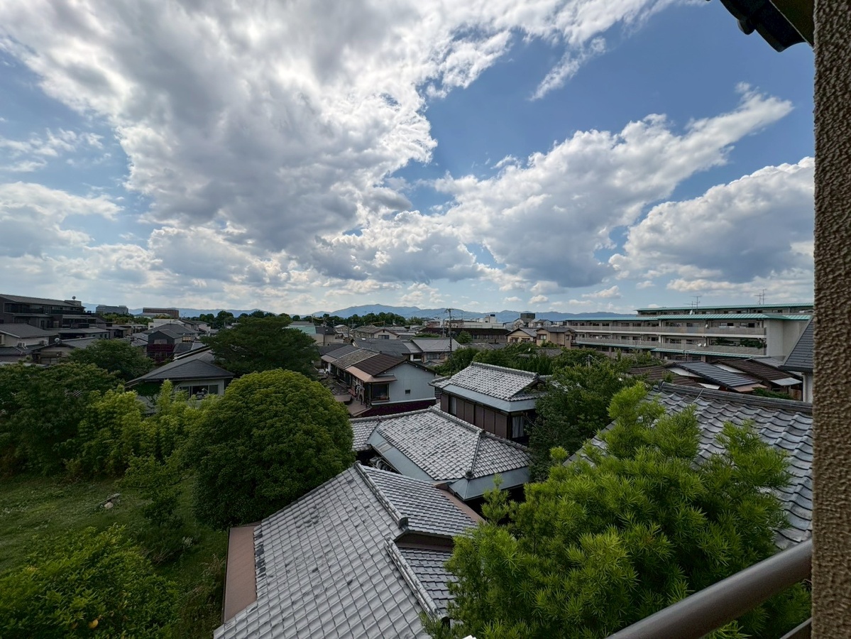 庭 写真28