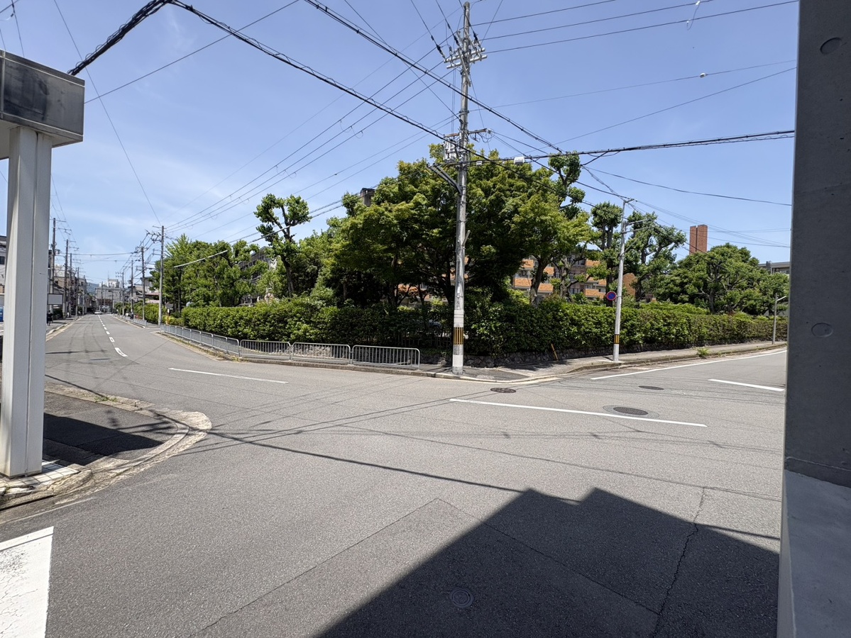 庭 写真28