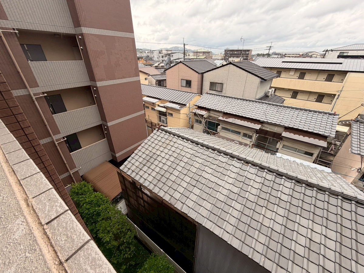 庭 写真29