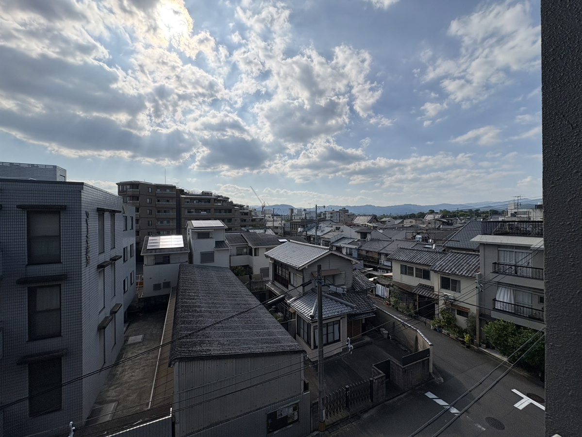 庭 写真17