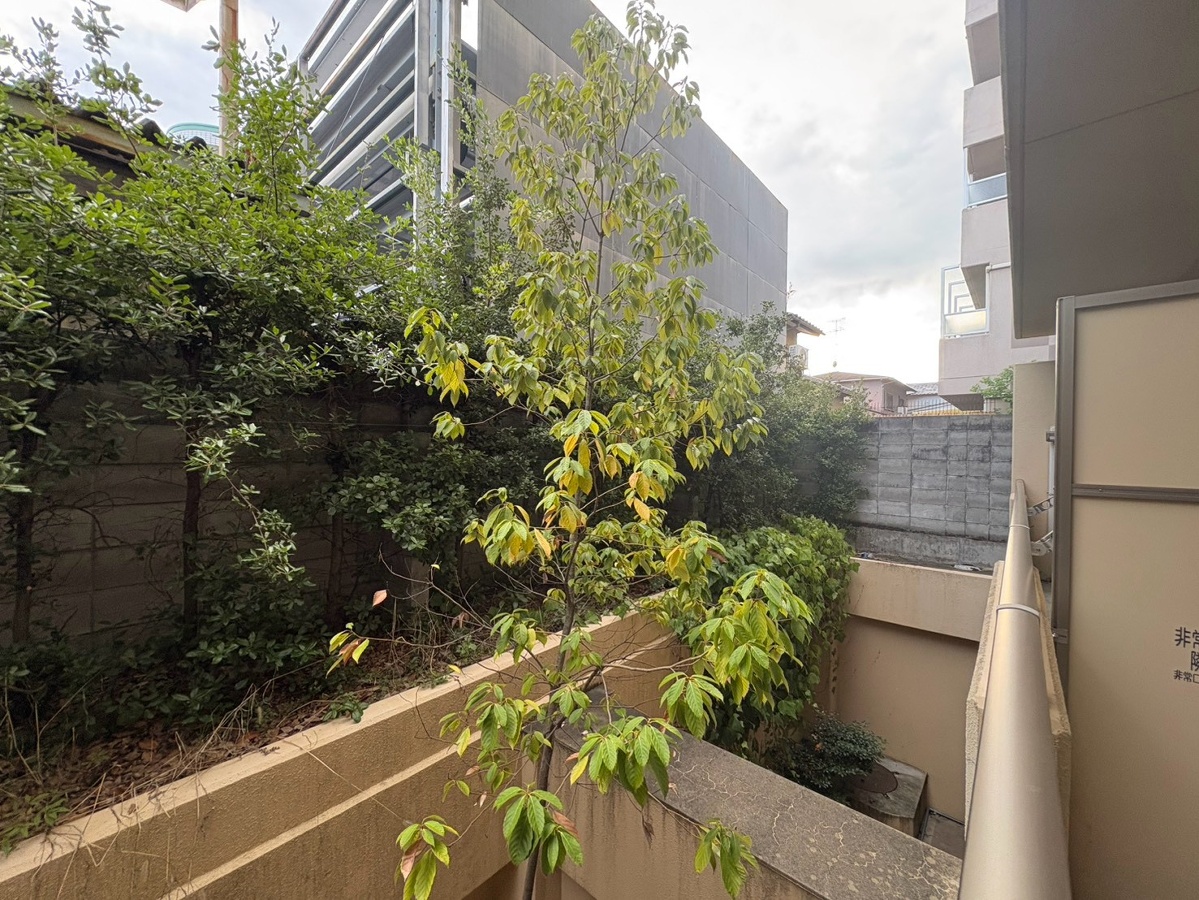 庭 写真16