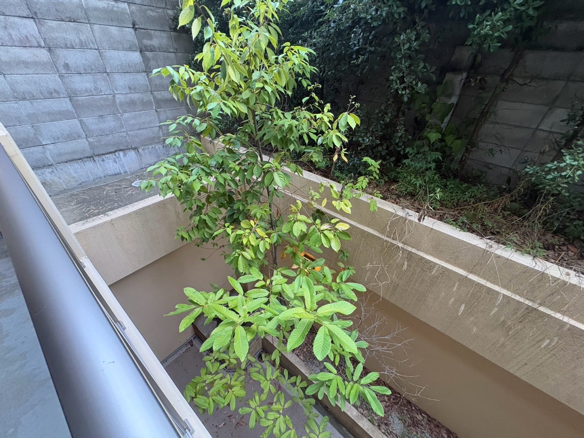 眺望 写真19