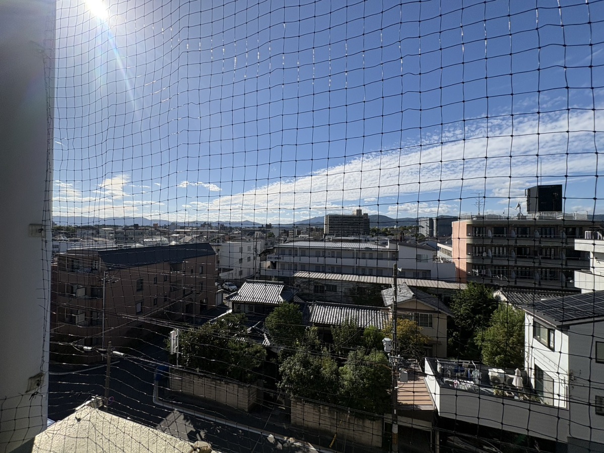 庭 写真17