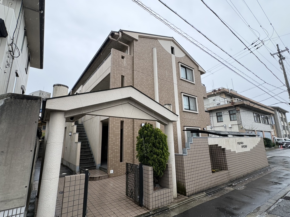 プラナスミカゲ