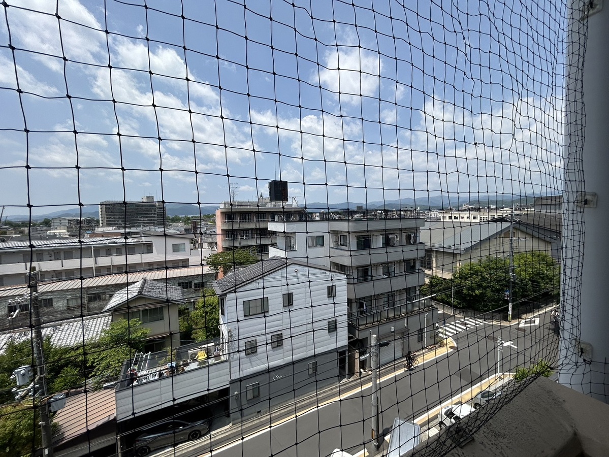 庭 写真18