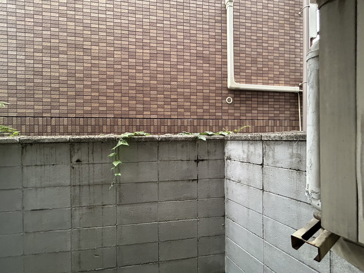 眺望 写真28