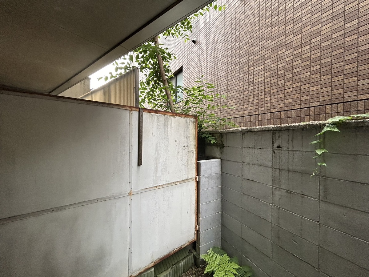 庭 写真19