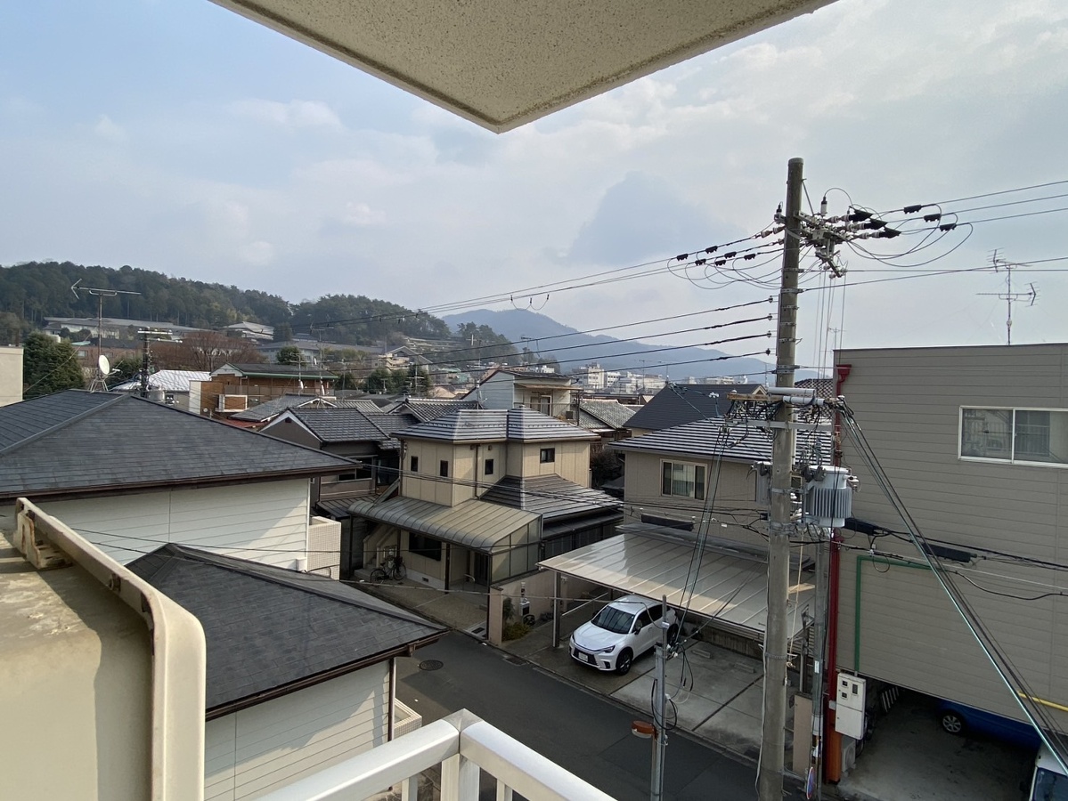 庭 写真12