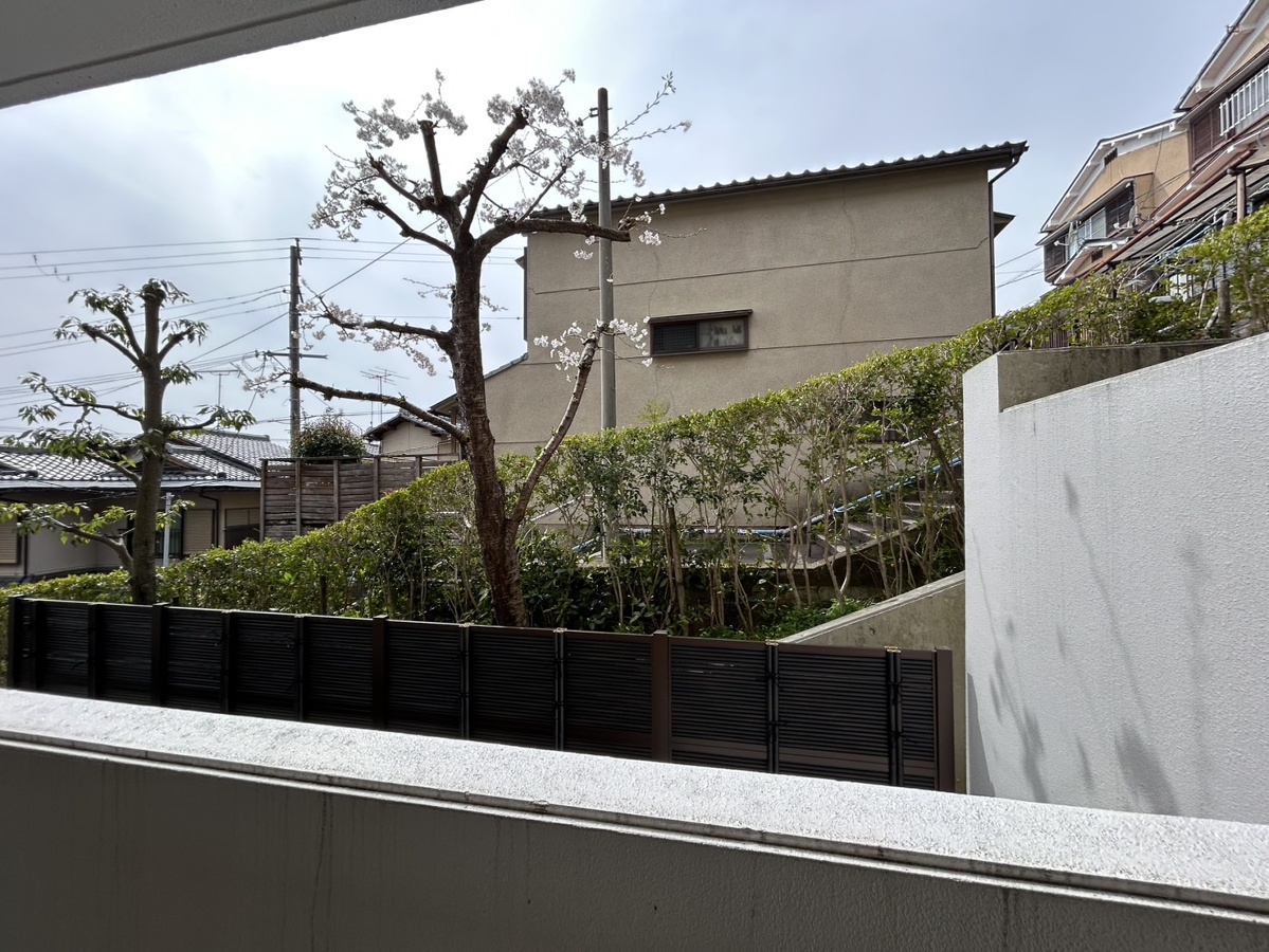 眺望 写真29