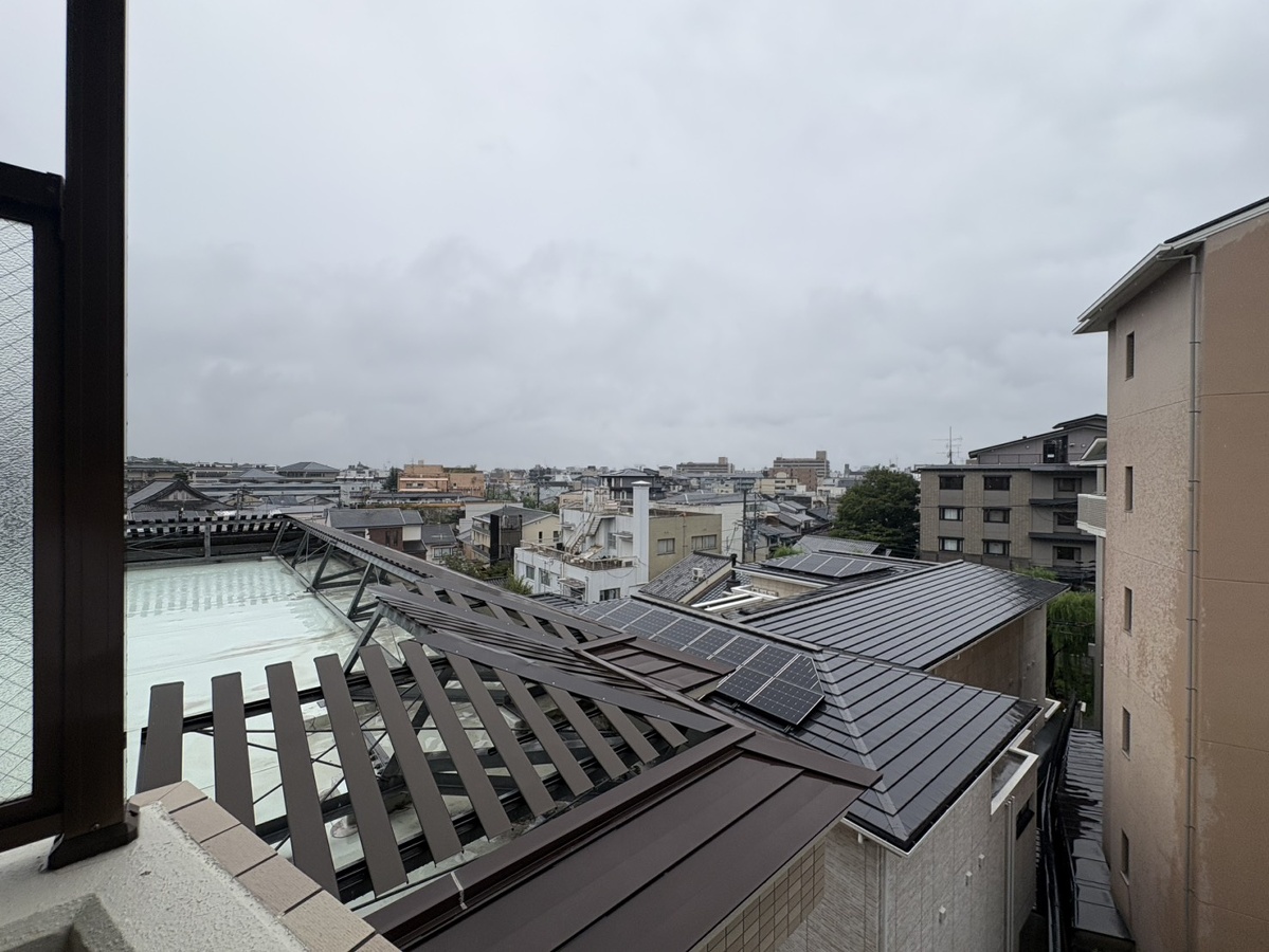 庭 写真15