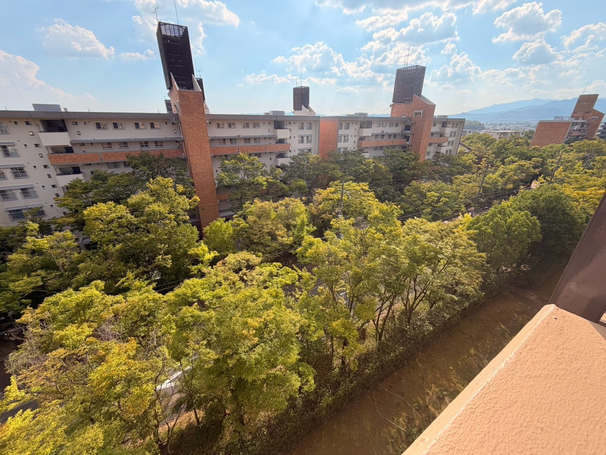 庭 写真28