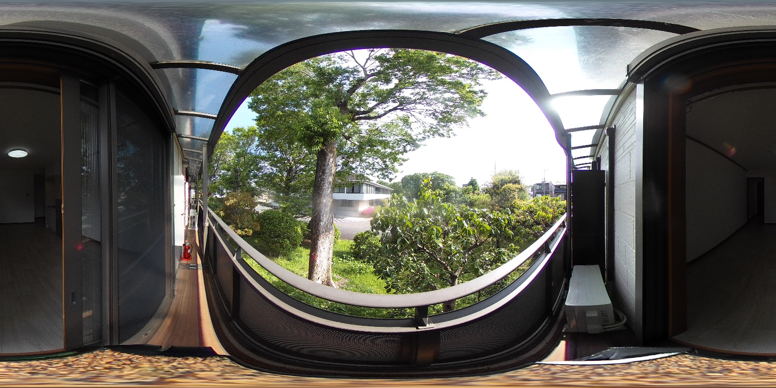 写真19