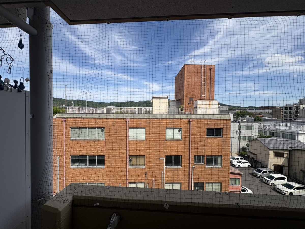 庭 写真28