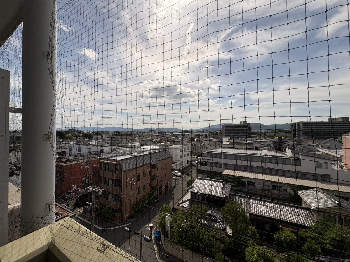 庭 写真29