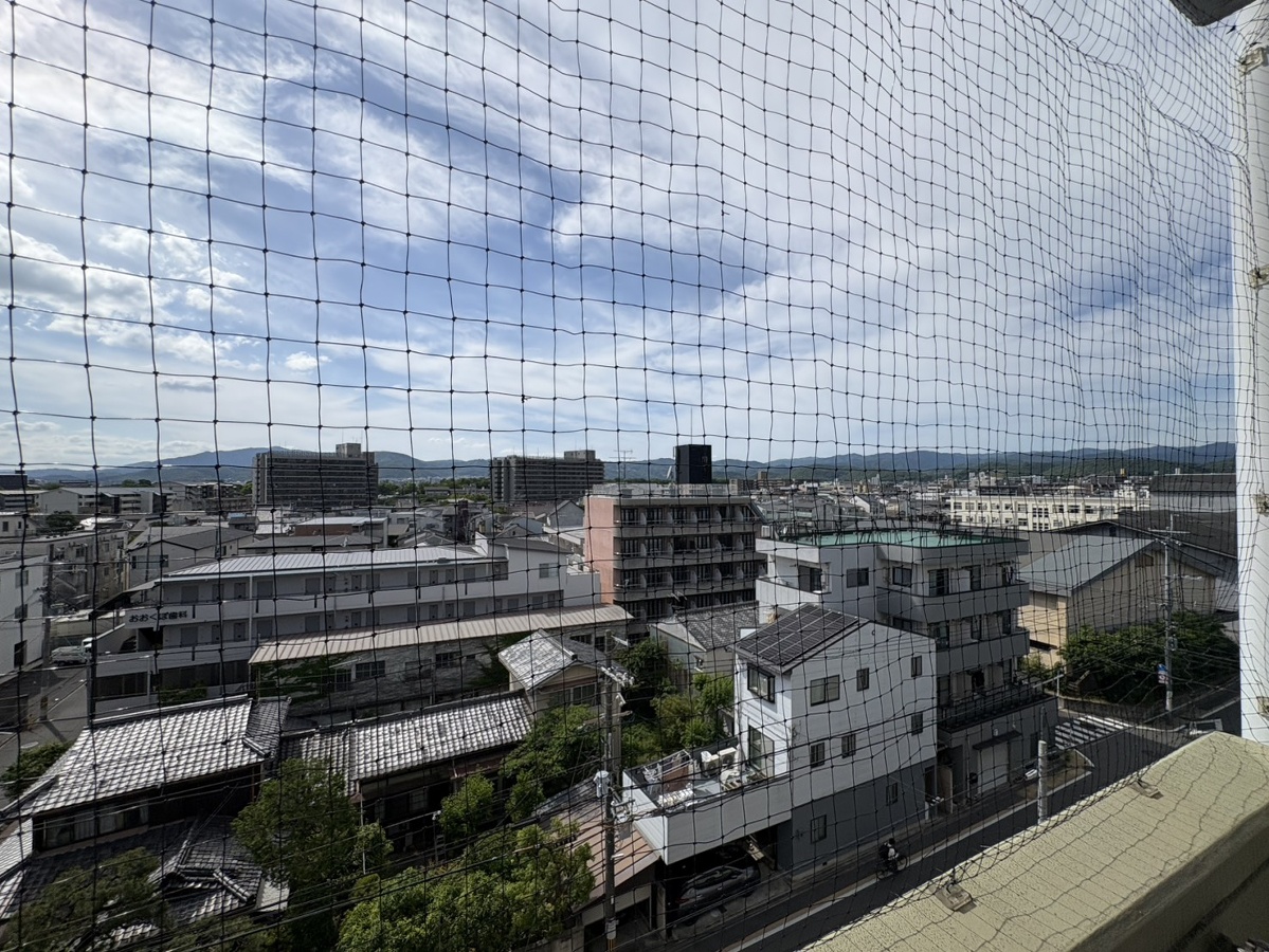 眺望 写真32