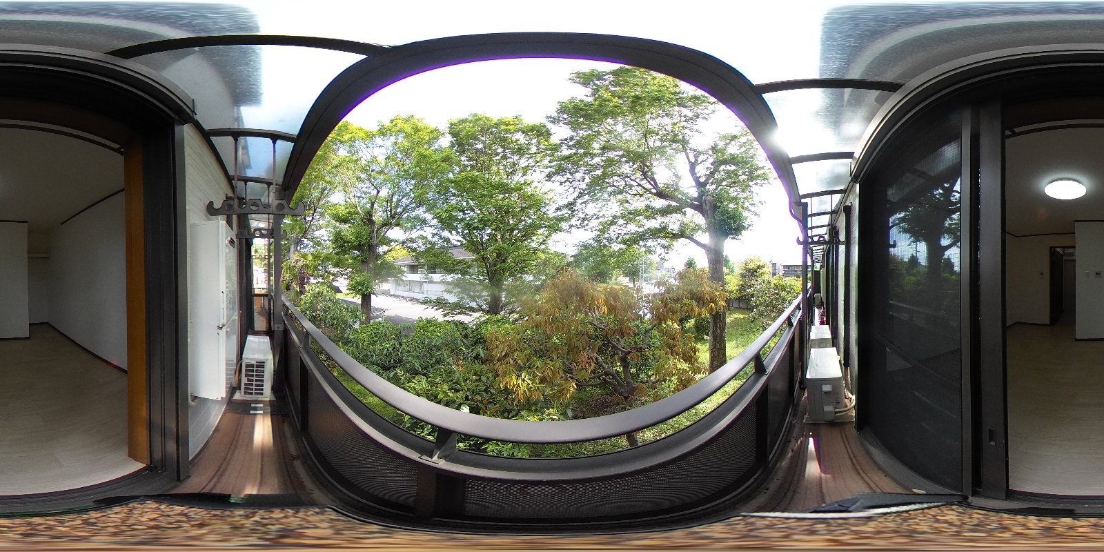 写真19