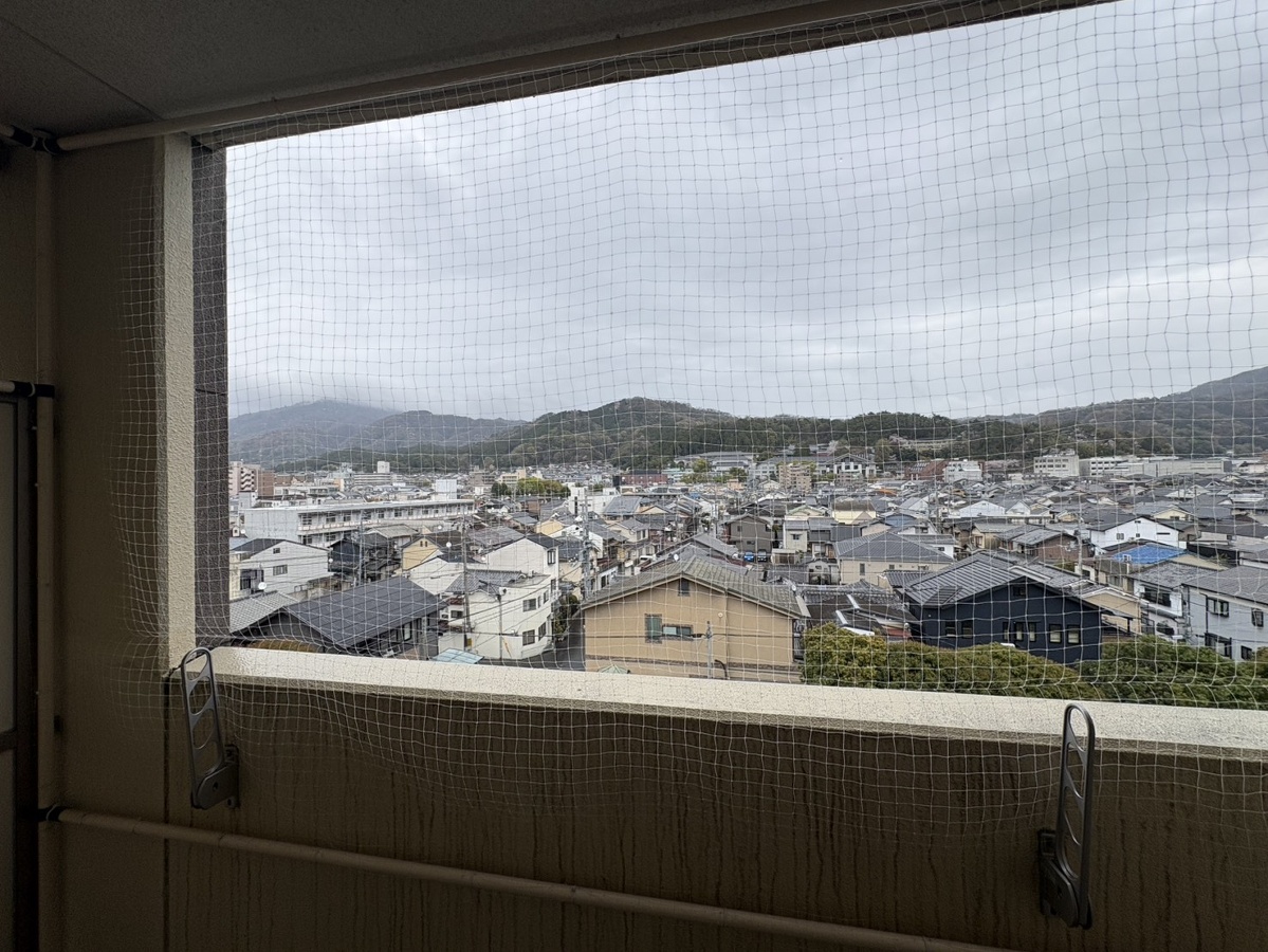 庭 写真28