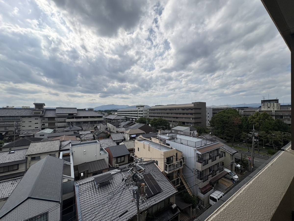 庭 写真17