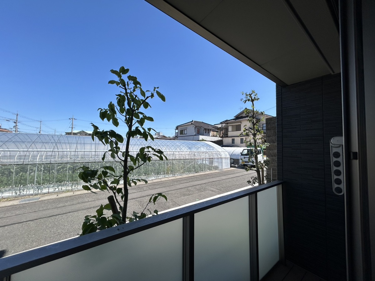 庭 写真29