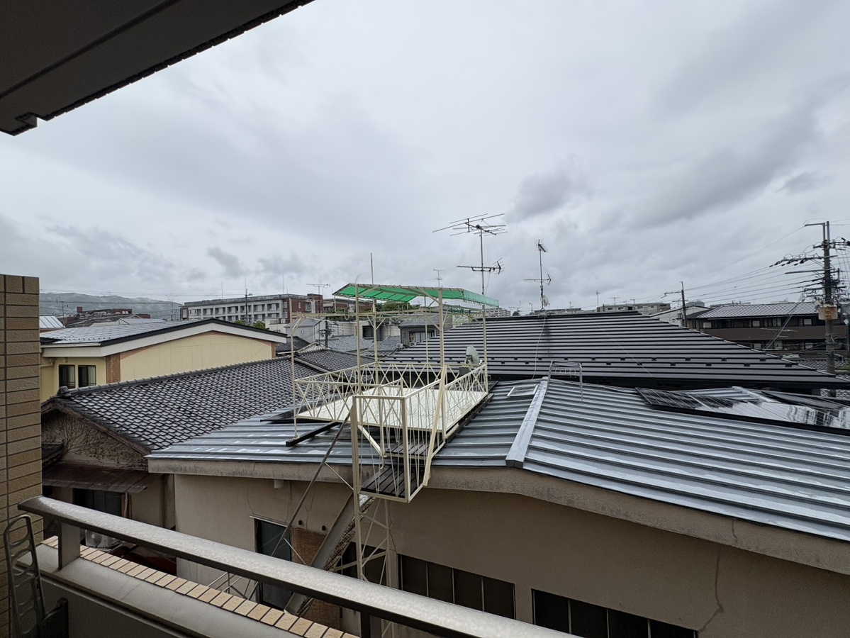 庭 写真29