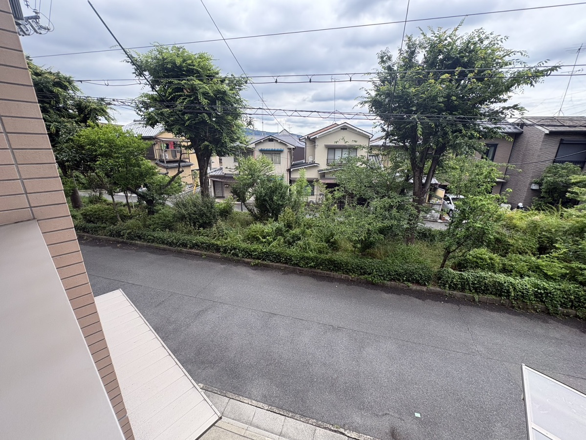 庭 写真29