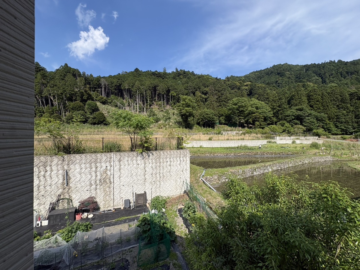 庭 写真29