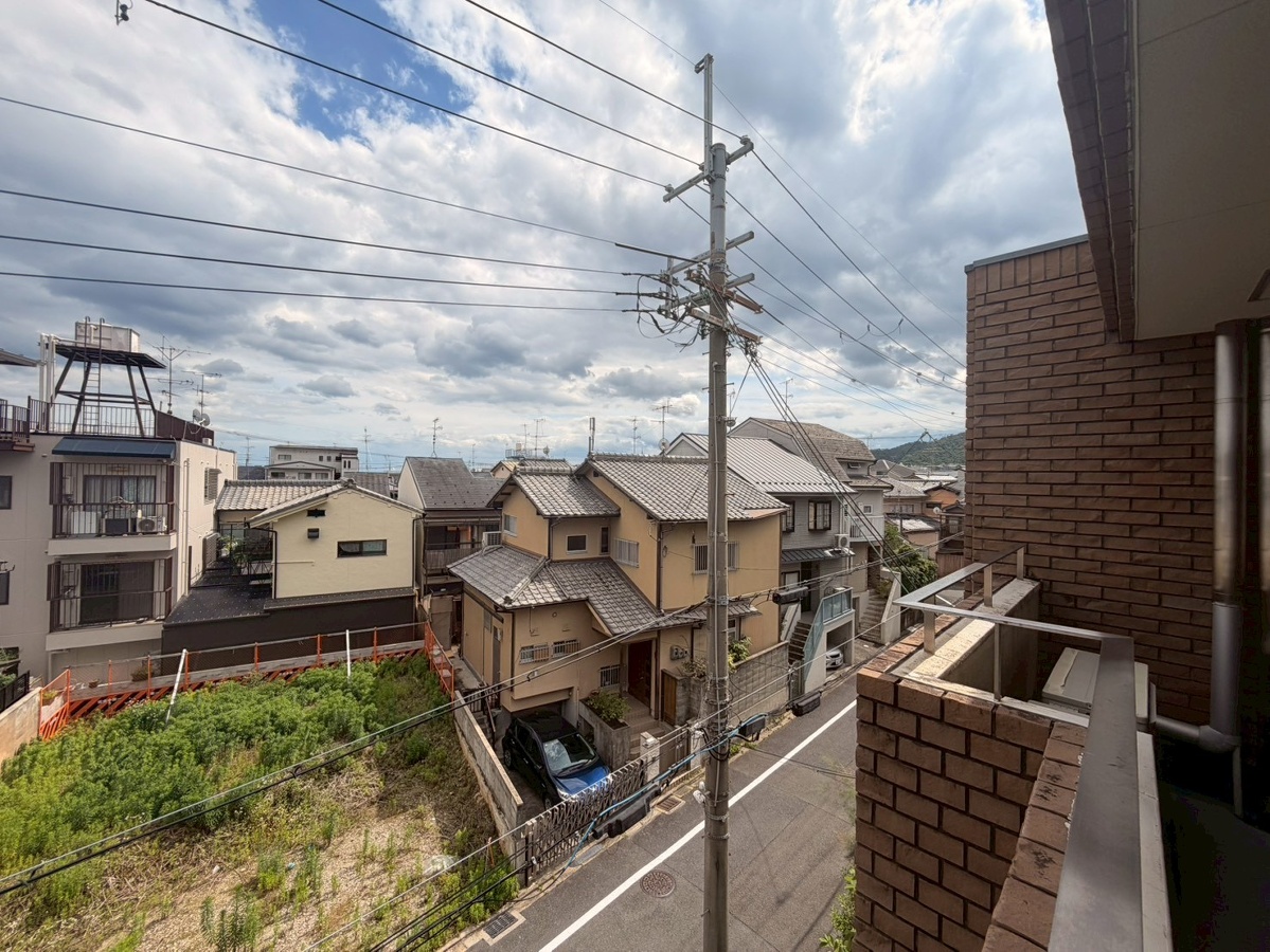 庭 写真29
