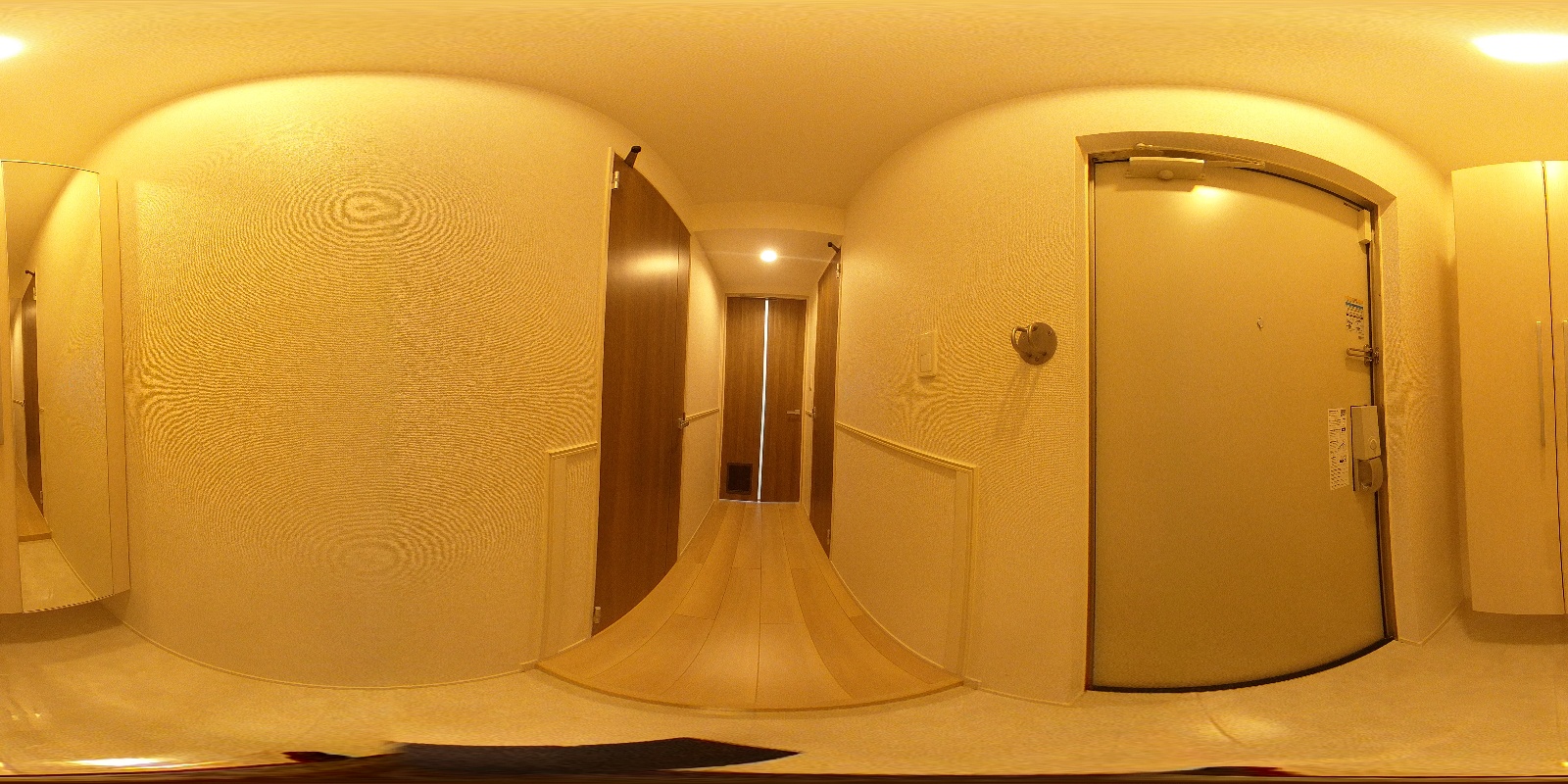 玄関 203号室の写真です 写真36